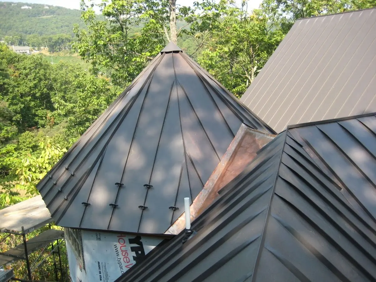 Professional Gutter Cleaning by Craftsman Roofing in Delaplane